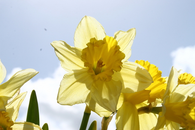 The benefits of a rural pre-school